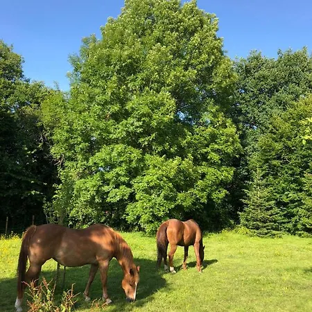 Maison Normande Bed & Breakfast 3*