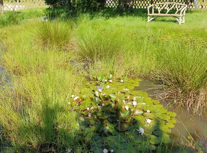 Maison Normande Bed & Breakfast